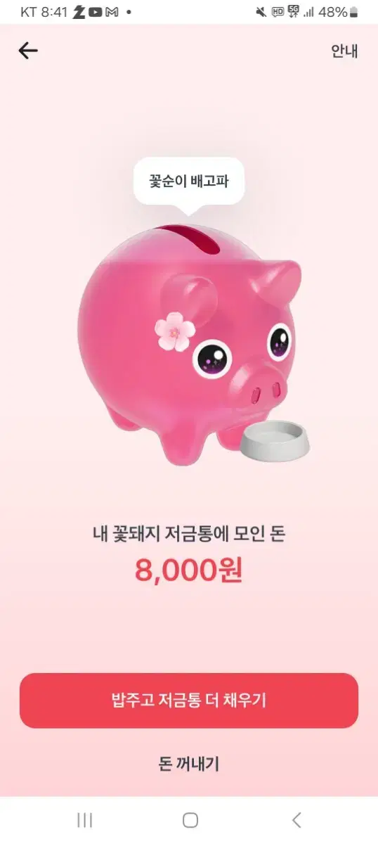 토스 꽃돼지 밥주기